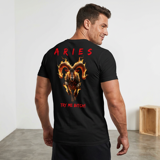 Men's Aries Fuck Around & Find Out T-Shirt