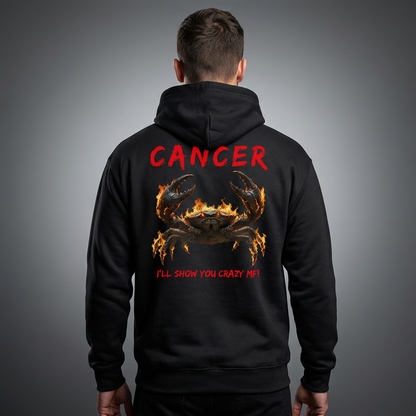 Cancer Fuck Around & Find Out Series Hoodie