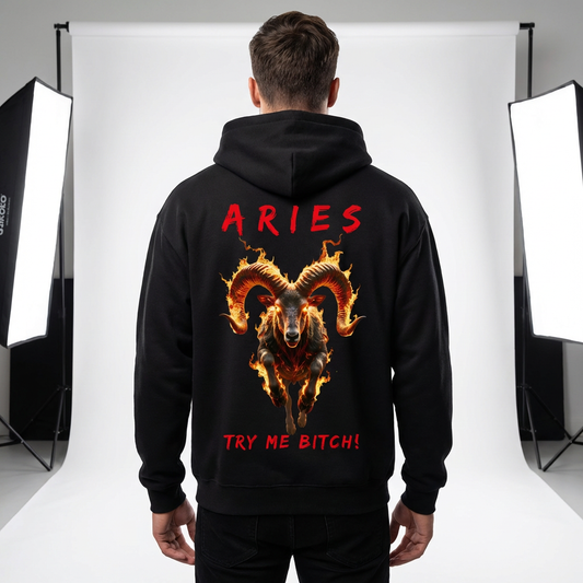Aries Fuck Around & Find Out Series Hoodie