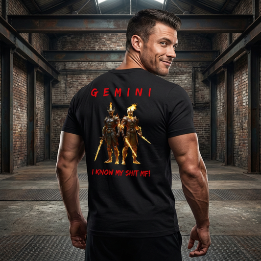 Men's Gemini Attitude T-Shirt