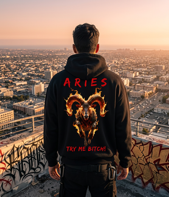 Aries Fuck Around &amp; Find Out Series Hoodie