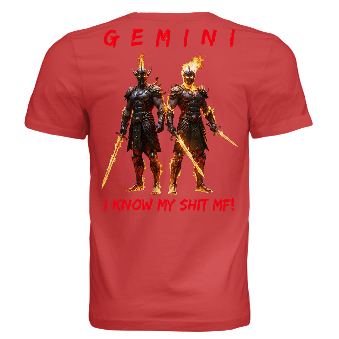 RED - 3001C - BACK